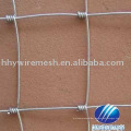 galvanized plain sheep wire mesh fence